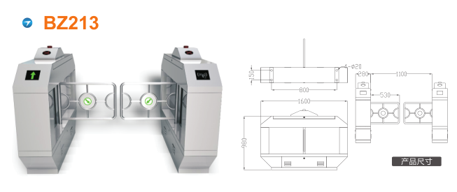 湛江摆闸BZ213